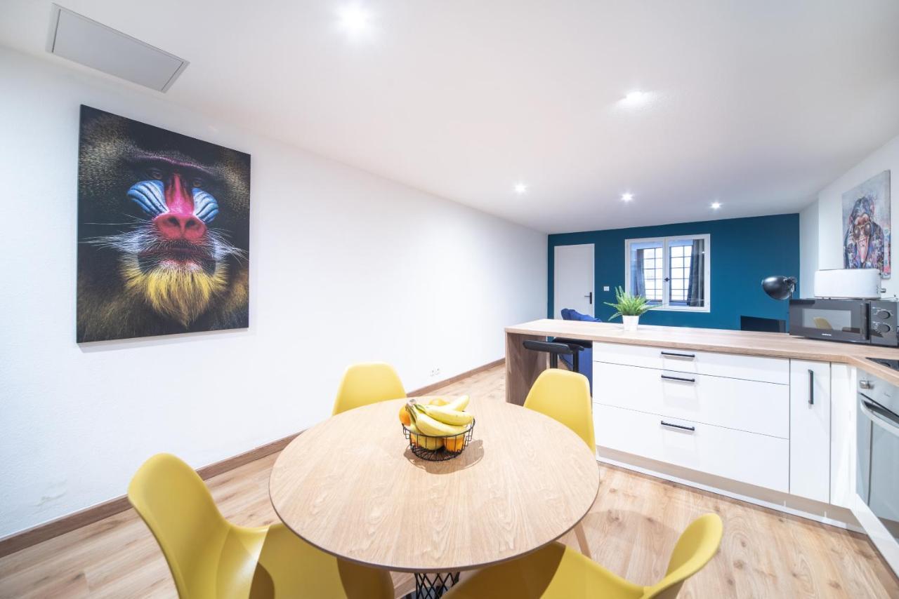 Appartement Pop Au Coeur Du Centre Ville Macon Ngoại thất bức ảnh